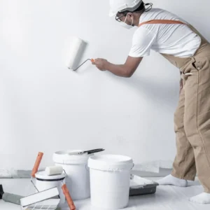 Imagem Pintor Blog IBI-ON